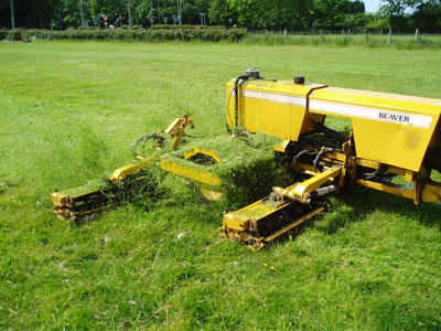 /stock-photos/Beaver gang mowers 3.jpg